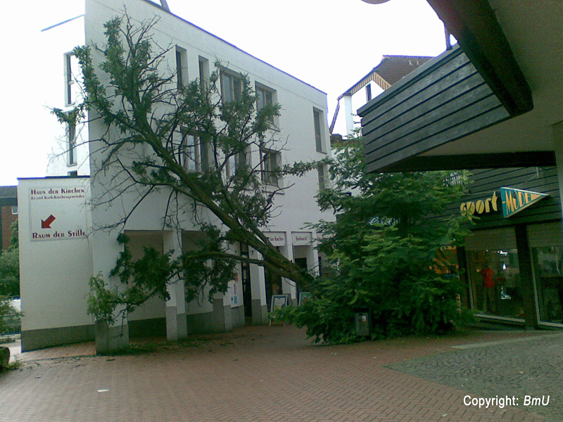 Baum am Hochdahler Markt