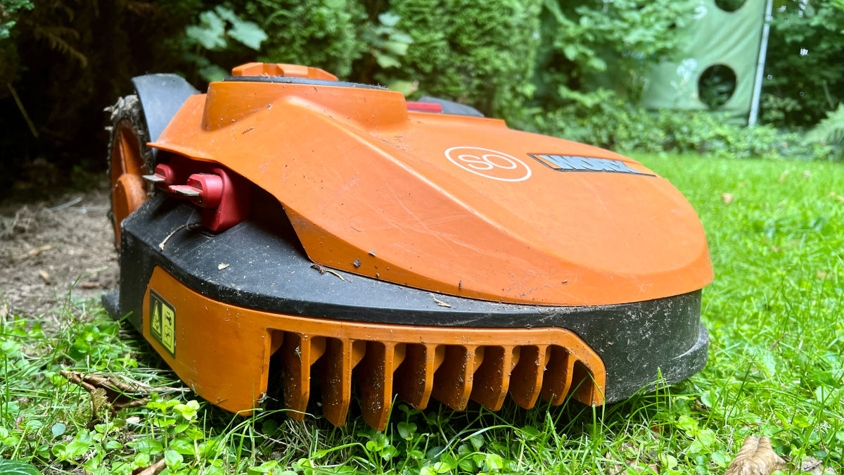 Mähroboter gefährden Tiere