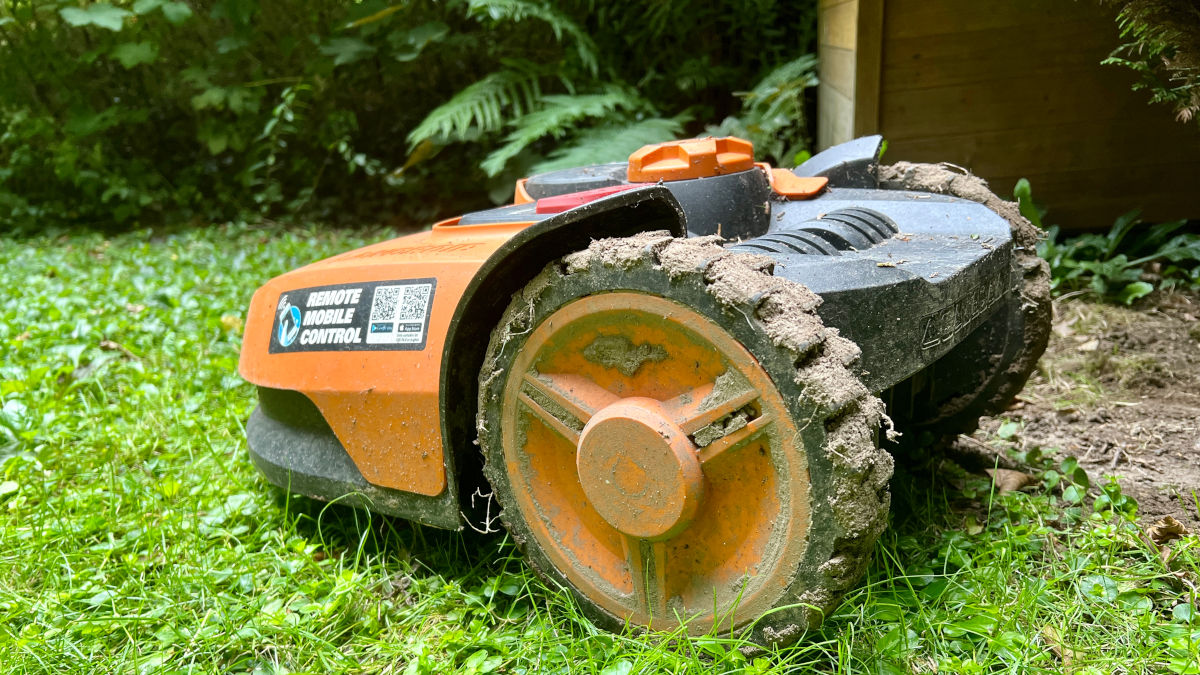 Mähroboter gefährden Tiere