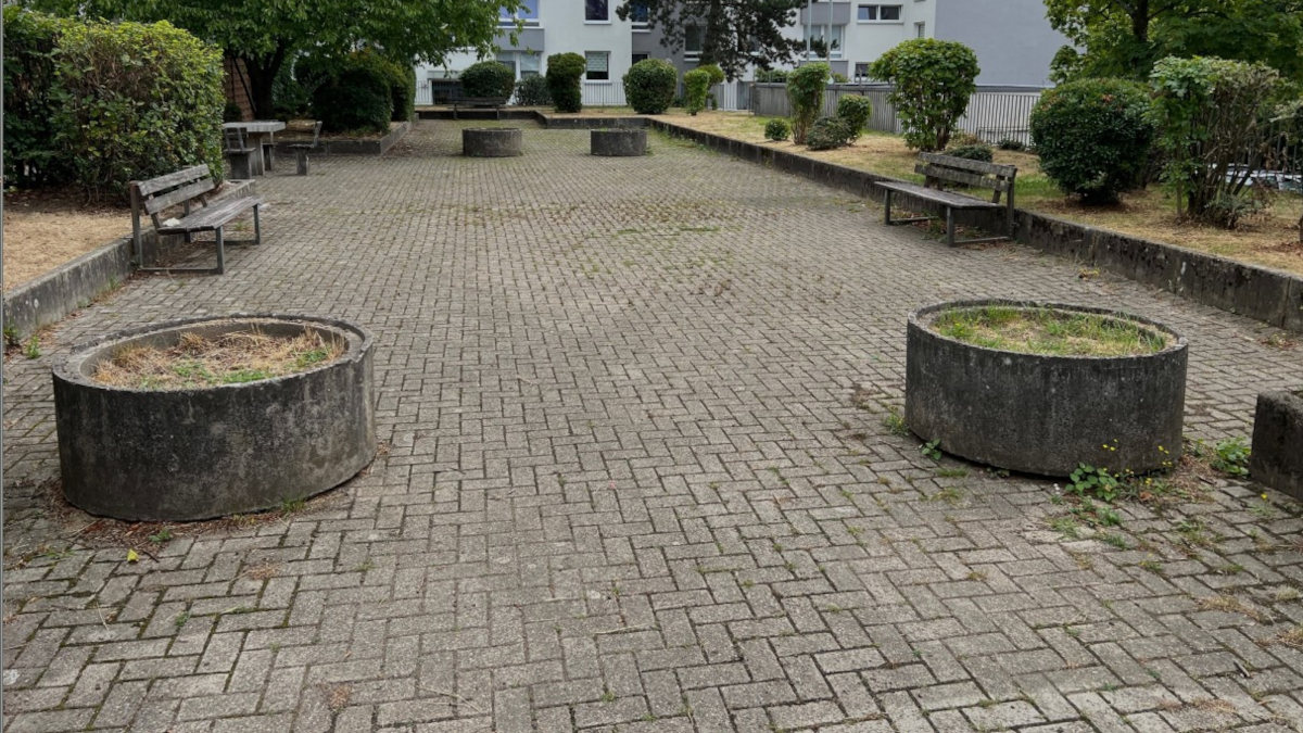 2026 03 05 113140 grau