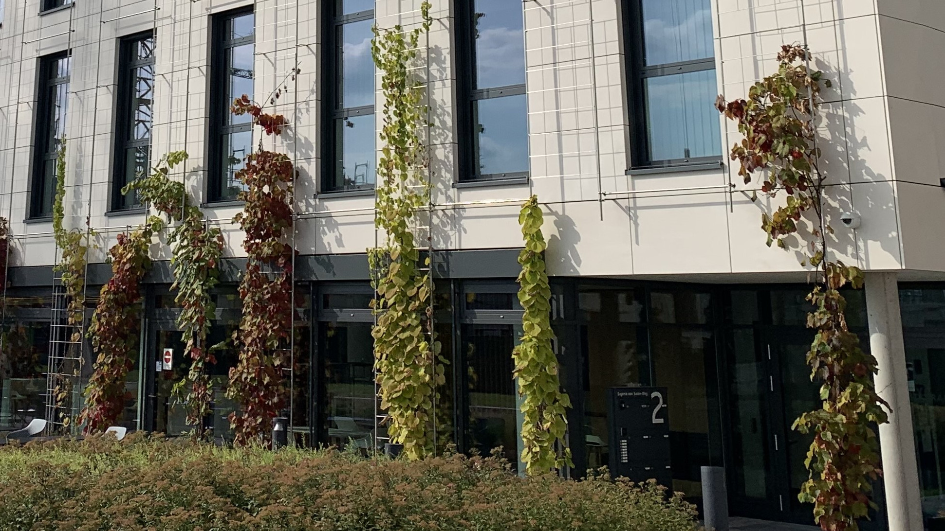 Bild-Quelle: Vertiko GmbH